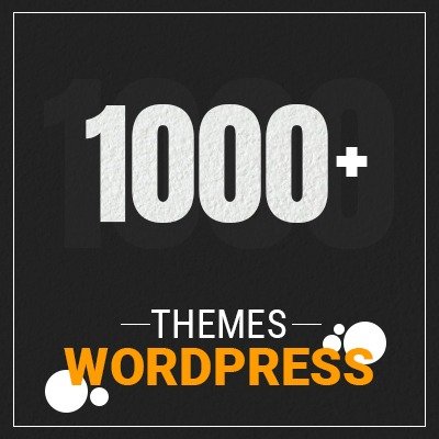 1000 wordpress theme